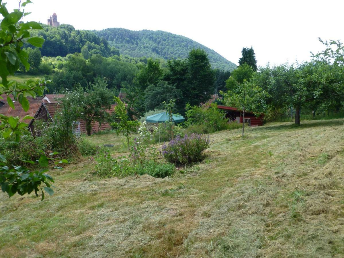 Feriengaleriewohnung Im Denkmal Stilvoll-Komfortabel Baubiologisch Erlenbach  Exterior foto