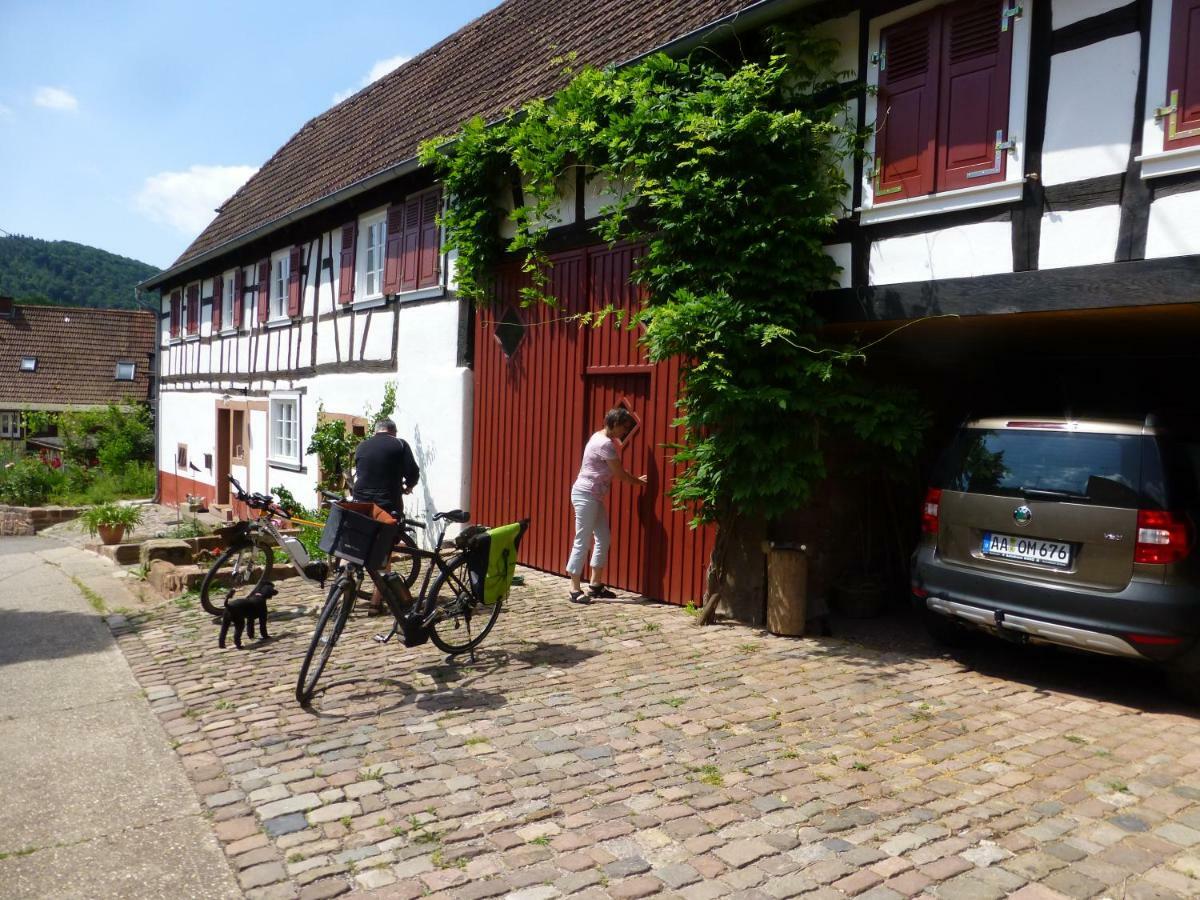 Feriengaleriewohnung Im Denkmal Stilvoll-Komfortabel Baubiologisch Erlenbach  Exterior foto